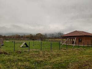 Pohod Bohova